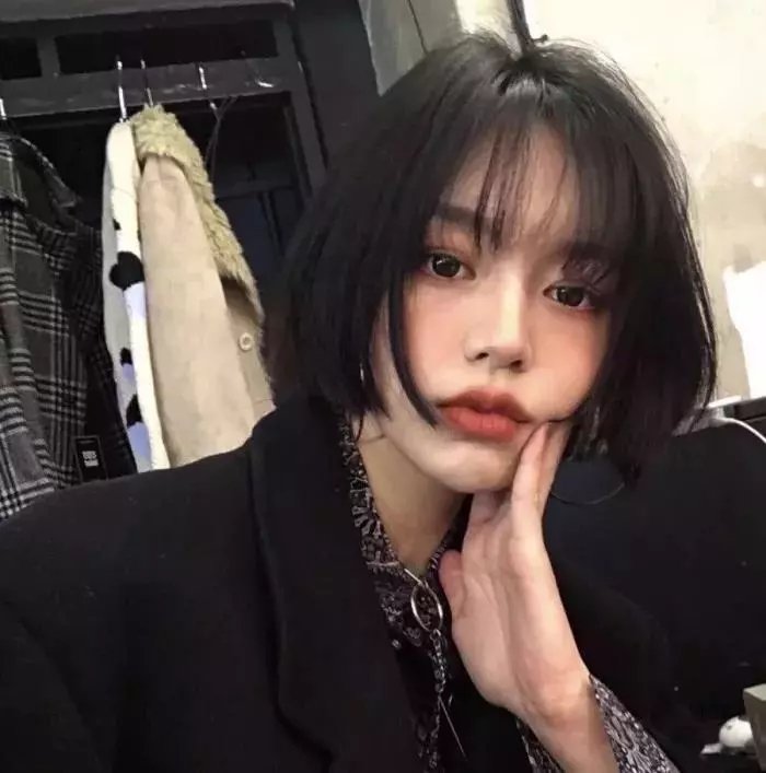 动物园之夜